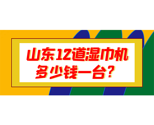 山東12道濕巾機(jī)多少錢(qián)一臺(tái)？
