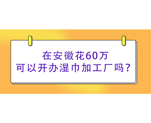 在安徽花60萬(wàn)可以開(kāi)辦濕巾加工廠嗎？