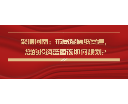 聚焦河南：布局濕廁紙賽道，您的投資藍(lán)圖該如何規(guī)劃?