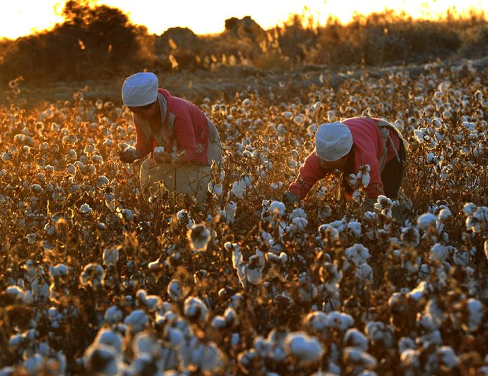 國外抵制新疆棉花，會(huì)對國內(nèi)濕巾行業(yè)造成影響